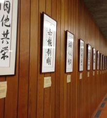 gallery__image