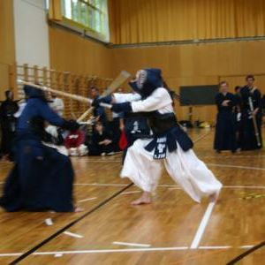 gallery__image