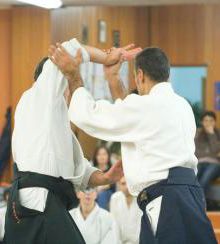gallery__image