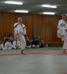 swiper__image